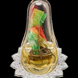 Cased Python Snake Fang Skin LP Goy Talisman Protect Thai Buddha Amulet #aa4219