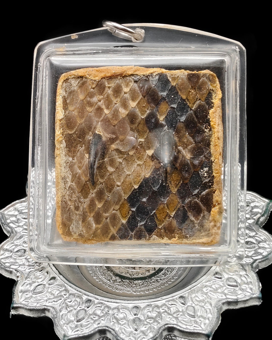Python Snake Fang Skin LP Goy Success Rich Gambling Pendant Thai Amulet ...