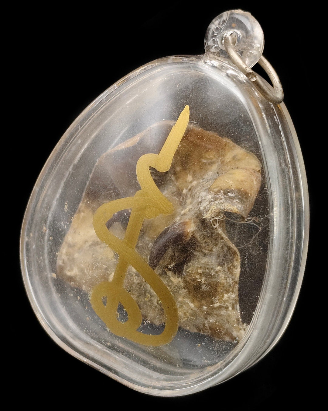 Cased Python Snake Fang Skin LP Goy Talisman Protect Thai Buddha Amulet ...