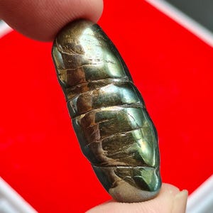 LP Somporn Rainbow Laos Leklai Suriyan Racha Magic Stone Charm Protect Talisman Pendant Thai Buddha Amulet #aa4336a