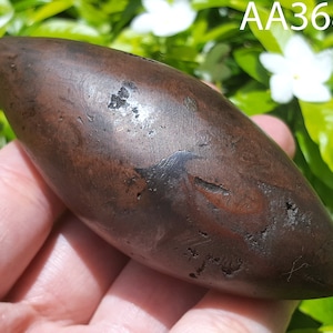 3.5&quot; LP Samrit Natural Made Leklai Lingam Capsule Rugby Magic Charm Talisman Protection Thai Buddha Amulet #aa3680