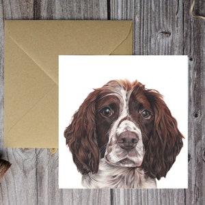 Springer Spaniel Birthday Card, Liver and White Spaniel, Spaniel Pencil Drawing, Gifts for Springer Spaniel Owners, Spaniel Birthday Ideas,