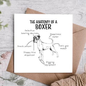 Lustige Geburtstagskarte Boxer Hund, Grußkarte für Hundeelternteil, Anatomie eines Boxerhundes, Geschenkideen für Hundebesitzer,