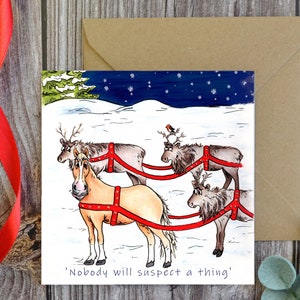 Lustige Pferde Weihnachtskarte, Pferde Kunst, Lustige Pferde Karte, Grußkarte, Weihnachtskarte, Weihnachtsgeschenke für Pferde, Pferdemädchen Geschenk,