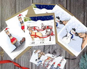 Funny Horse Christmas Card 6 Pack with Matching Gift Tags, Equine Art, Greetings Card, Xmas Card, Horse Girl Christmas Ideas,