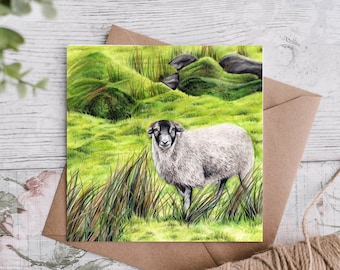 Swaledale Sheep in The Lake District Birthday Card, Sheep Landscape Art, Langdales, Gifts For Sheep Farmers,