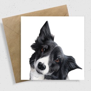 May include: A black and white border collie dog with brown eyes looks at the camera with its head tilted to the side. The dog's fur is soft and fluffy.