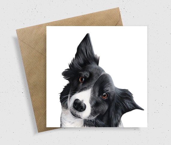 Border Collie Fathers Card, Working Sheepdog, Gifts For Dog Lovers, Pet Portrait, Anniversary, Farm Collie, Pencil Drawing,