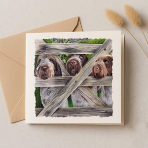Italienische Spinone Grußkarte, Spinone Hund Illustration, Spinone Italiano Zeichnung, Zeichnung von Arbeitshund, Arbeitshund Geschenke,