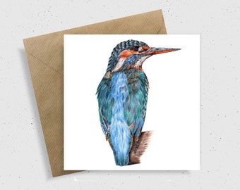 Kingfisher Birthday Card, Bird Art, Colourful Bird Birthday Card, Wildlife Art, Wildlife Gifts,, Colourful Art, Pencil Drawing,