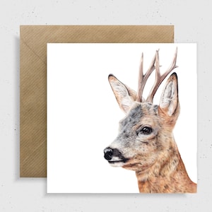 Hirsch Geburtstagskarte, Rehbock, Reh Karte Geburtstagskarte, Wildtiere Kunst, Britische Wildtiere Geschenke, Britische Wildtiere Geburtstagsidee, Natur Karte