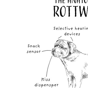 Funny Rottweiler Birthday Card, Anatomy of a Rottweiler, Rottie Owner Gift Ideas, Funny Rottweiler Presents, Rottweiler Dad, Rottweiler Mum, image 3