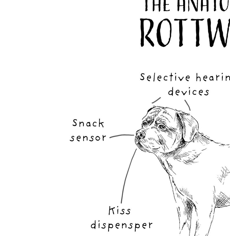 Funny Rottweiler Birthday Card, Anatomy of a Rottweiler, Rottie Owner Gift Ideas, Funny Rottweiler Presents, Rottweiler Dad, Rottweiler Mum, image 3