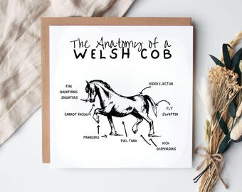 Funny Welsh Cob Horse Anatomy Greetings Card - The Anatomy of a Pony Horse Humour Diagram