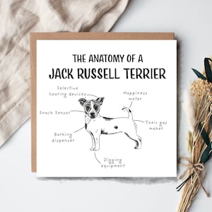 Funny Jack Russell Terrier Birthday Card, Anatomy of a Jack Russell Terrier, Jack Russell Owner Gift Ideas, Funny Jack Russell Presents, image 1