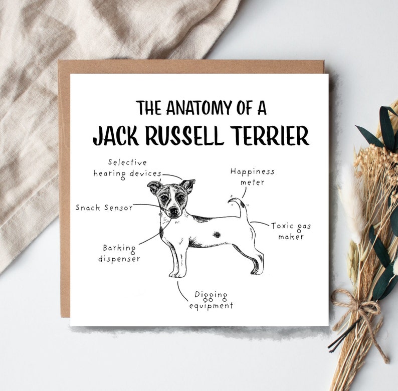 Funny Jack Russell Terrier Birthday Card, Anatomy of a Jack Russell Terrier, Jack Russell Owner Gift Ideas, Funny Jack Russell Presents, image 1