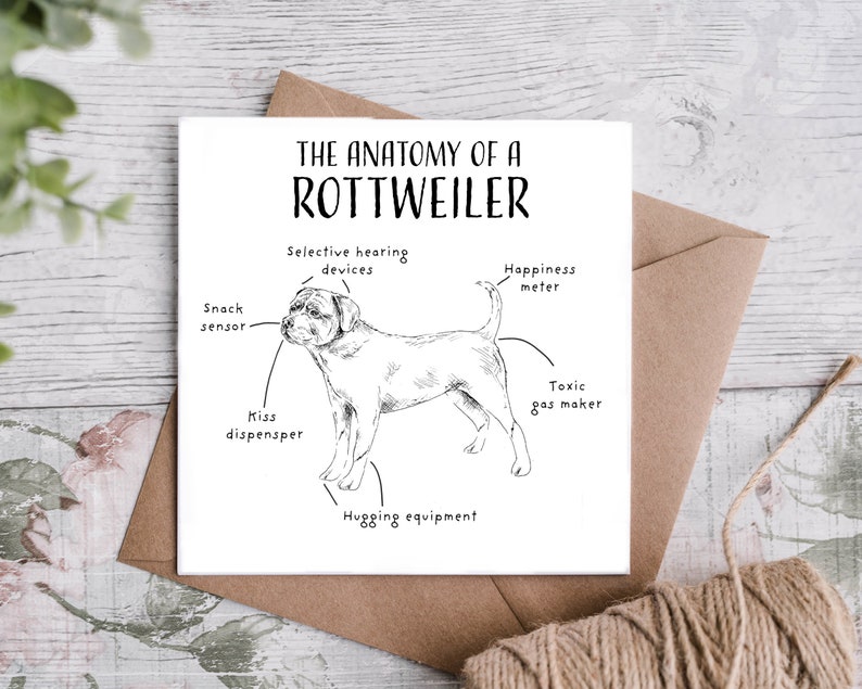 Tarjeta de cumpleaños divertida de Rottweiler, anatomía de un Rottweiler, ideas de regalo del propietario de Rottie, regalos divertidos de Rottweiler, papá de Rottweiler, mamá de Rottweiler, imagen 1