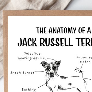 Funny Jack Russell Terrier Birthday Card, Anatomy of a Jack Russell Terrier, Jack Russell Owner Gift Ideas, Funny Jack Russell Presents, image 2