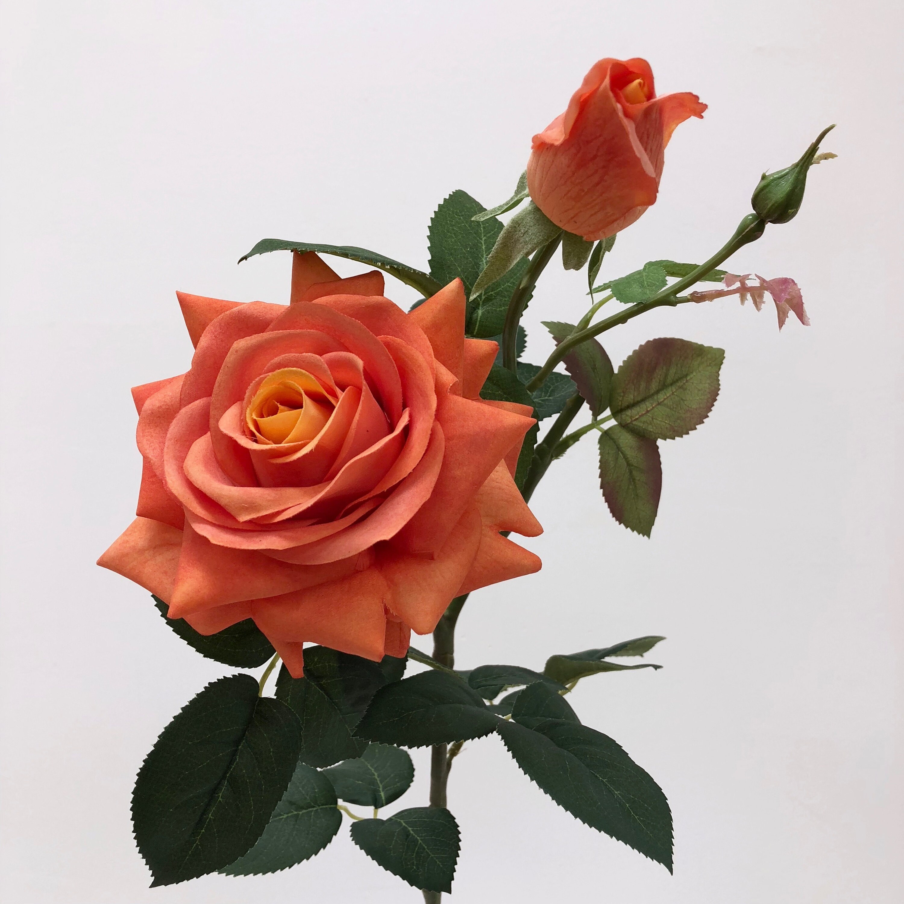 Extra Large Orange Silk Hybrid Rose Stem for DIY Floral Etsy
