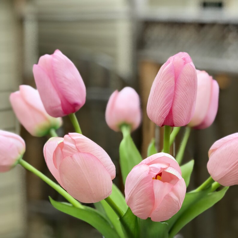 Set Of 3 Extra Large Pink Silk Tulip Stem For Diy Floral Etsy