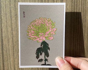 Ukiyo-e Chrysanthemum Sticker
