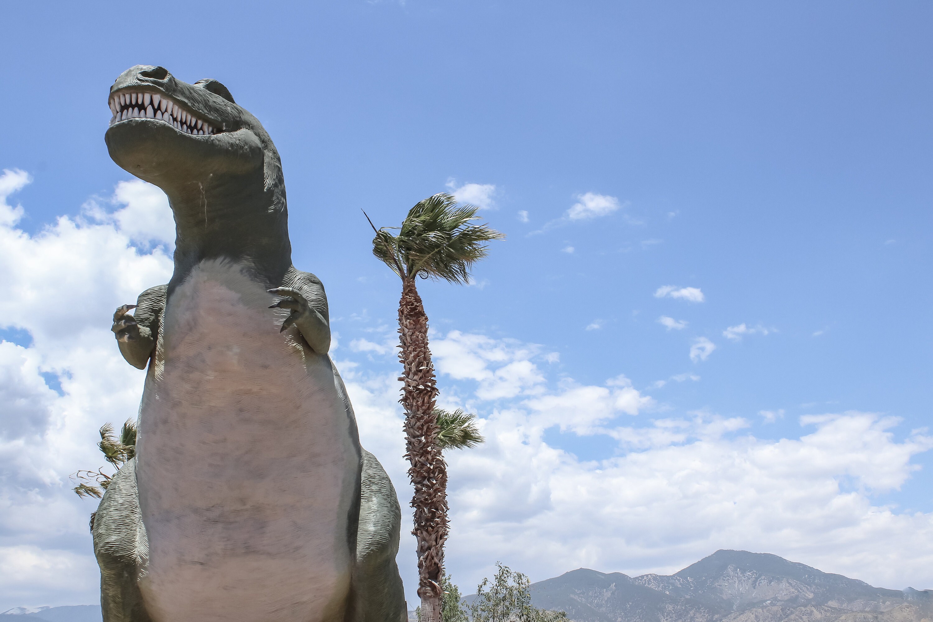 Cabazon Dinosaurs Palm Springs California Palm Tree Mountains