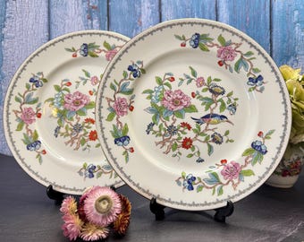Set of 2 Aynsley Pembroke dinner plates Bone China made in England English porcelain