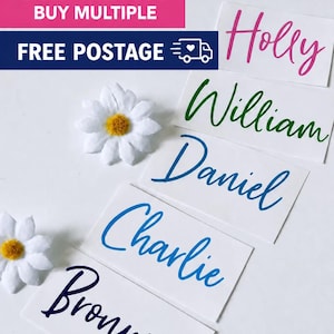 May include: Five rectangular white labels featuring personalised names in cursive script: Holly in pink, William in green, Daniel in blue, Charlie in light blue, and Bronwen in dark blue. Three white artificial daisy flowers are placed among the labels.