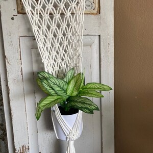 May include: A white macrame plant hanger with a wooden dowel at the top, holding a white pot with a green and white striped plant. The macrame has a diamond pattern and a tassel at the bottom. The background is a distressed white door.
