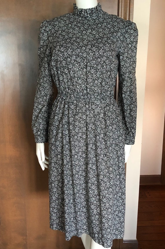 1890s day dress