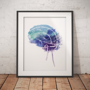 Dural Venous Sinuses - Brain vein anatomy poster (Unframed)