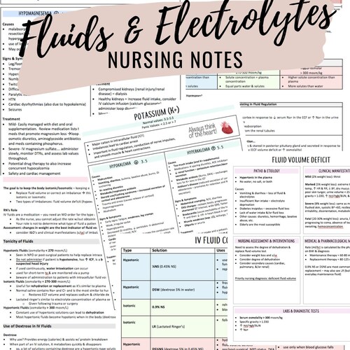 Electrolyte Imbalances Study Guide Nursing Notes With - Etsy