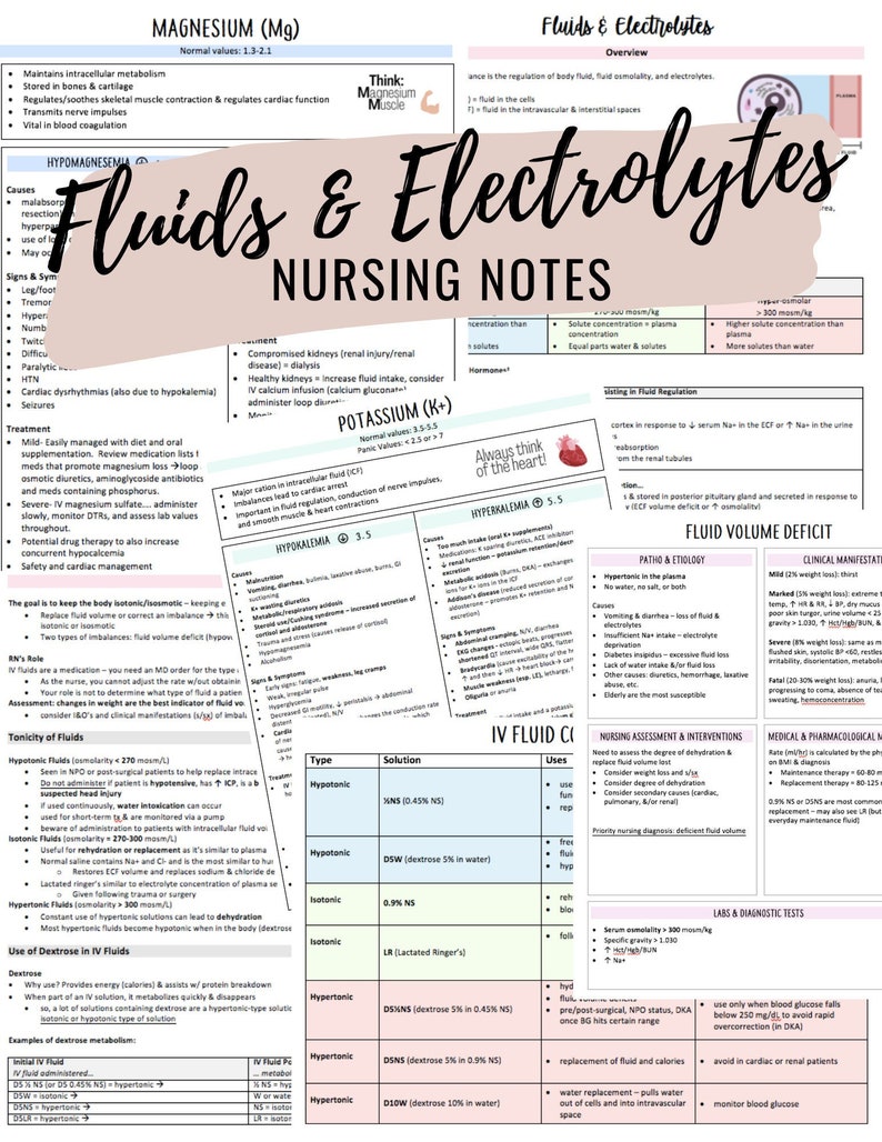 Fluids and Electrolytes Study Guide Med Surg Fundamentals Etsy