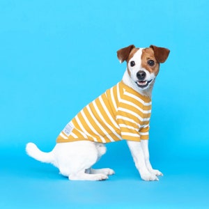 FLOT Fine Rib Knit Stripe Tee | T-shirt [Yellow]