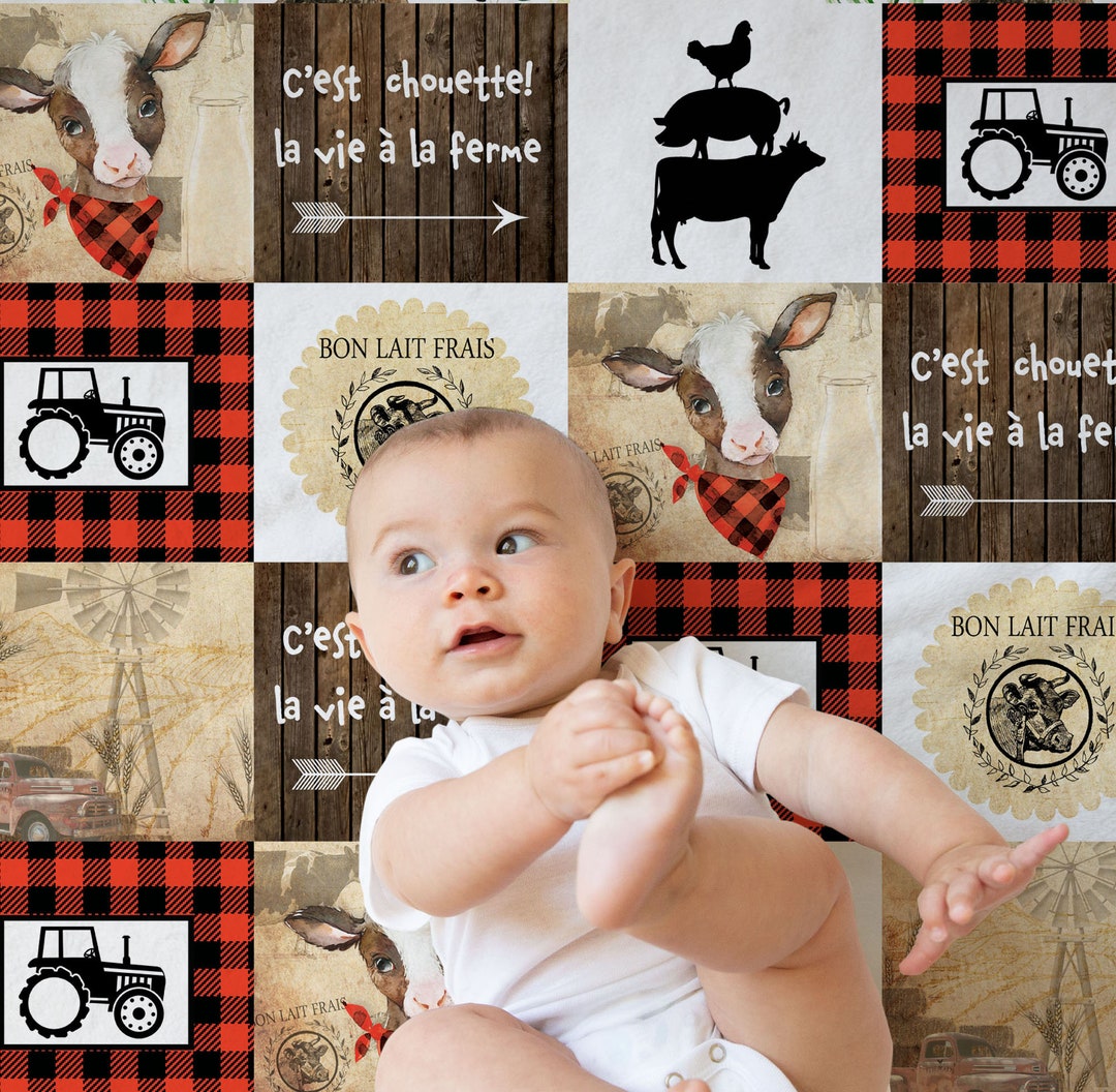 Baby Boy Blanket Blanket Minky Blanket Firm Blanket French Etsy