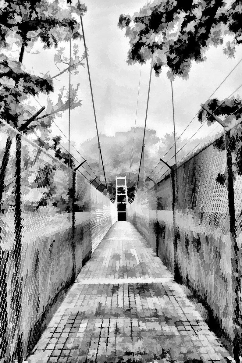 The Suspension Bridge at Cornell Photographic Art Print Etsy