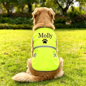 Op de afbeelding: Een Golden Retriever draagt een felgele vest met de naam "Molly" erop. De vest heeft een pootafdruk en reflecterende strepen. De hond zit op groen gras.