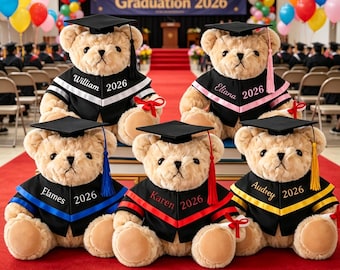 Graduation Teddy Bear 2026 Personalized, Graduation Personalized Stuffed, Graduation Bear Pre School,PhD Graduate Keepsake Gift