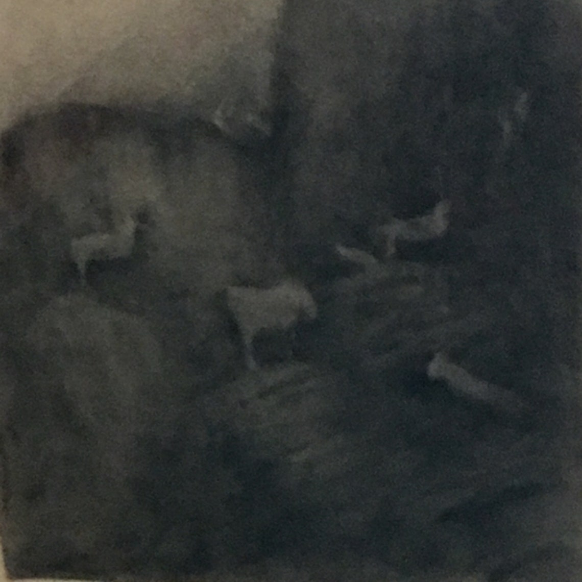 Mordern Mid Century Abstract Drawing (mountain Goats) by Kathleen Cooke ...