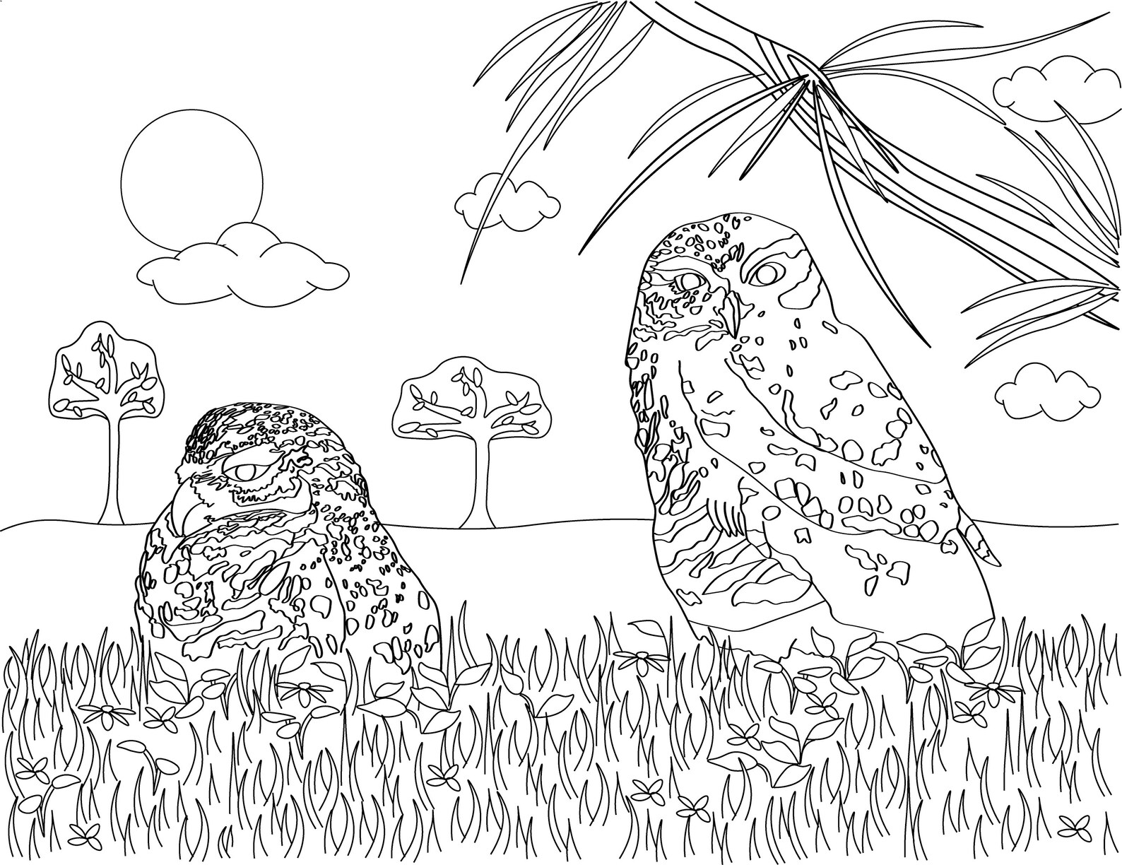 Burrowing Owls Coloring Page - Etsy Ireland
