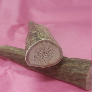 1 Antler pet chew,10&quot; plus Antler dog chews, dog teeth healthy, organic dog chew natural elk antler, long lasting safe dog chew dog birthday