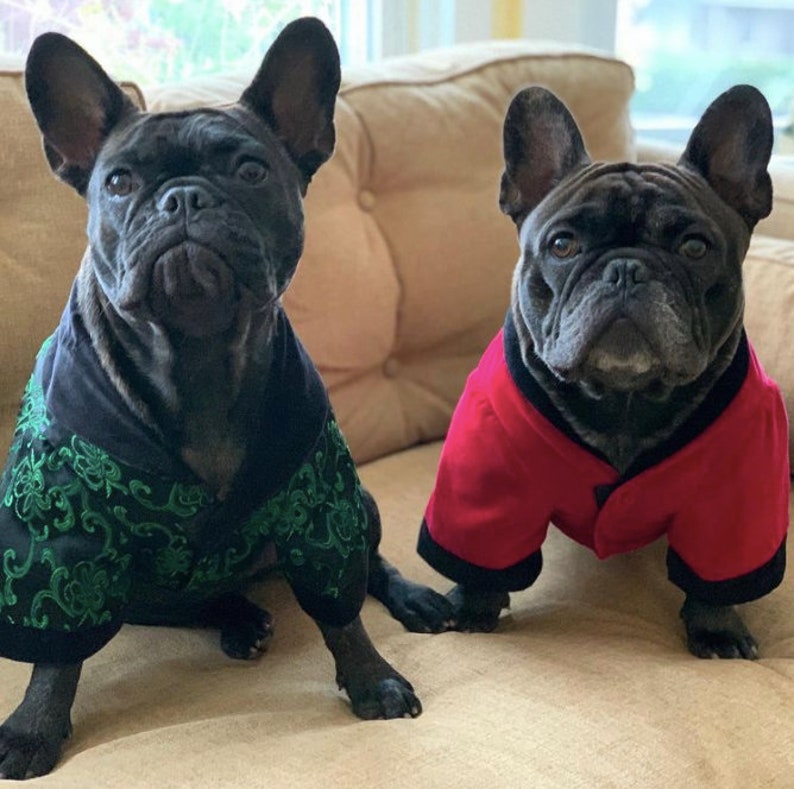 Dog Smoking Jacket in Velvet Dog Jacket Small Dog Clothes Wt 1828lbs