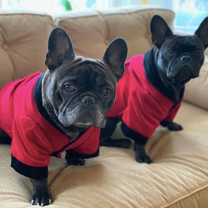 Dog Smoking Jacket in Velvet Dog Jacket Small Dog Clothes Wt 1828lbs