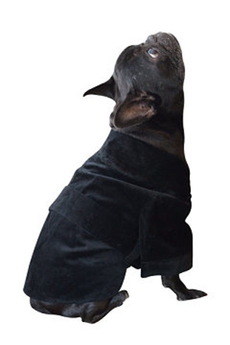Dog Smoking Jacket in Velvet Dog Jacket Small Dog Clothes Wt 1828lbs