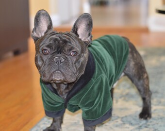 Velvet Dog Smoking Jacket | USA Made, 18-28lbs