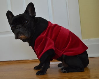 dog in smoking jacket