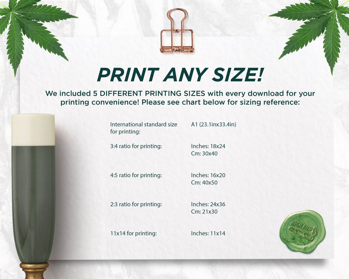 Glass Slipper Women Cannabis, Wall Art, Neon Cinderella Shoe, Hanging