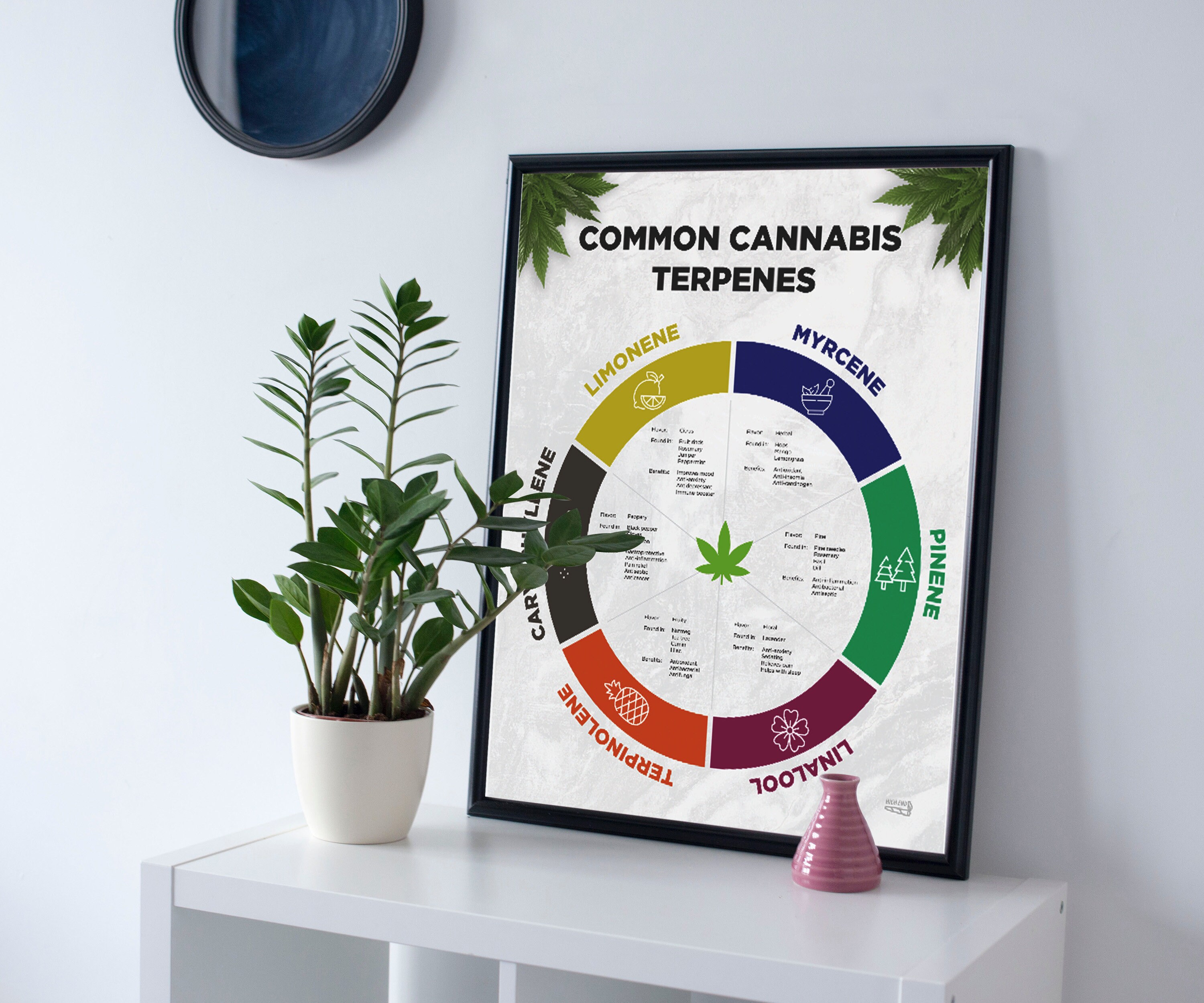Terpenes Cannabis Pie Chart. Tarpenes Circle Strain Chart Etsy