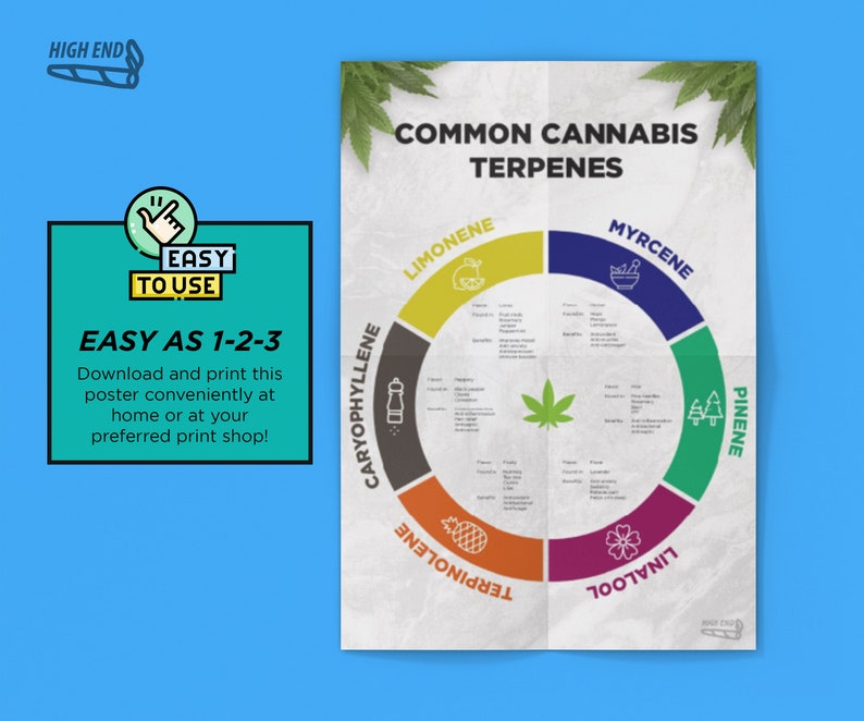 Downloadable Terpenes Cannabis Pie Chart Ready to Print Etsy