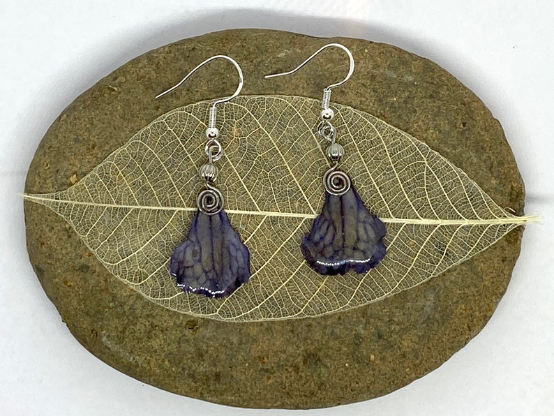 Real Flower Earrings Streptocarpus and resin #26
